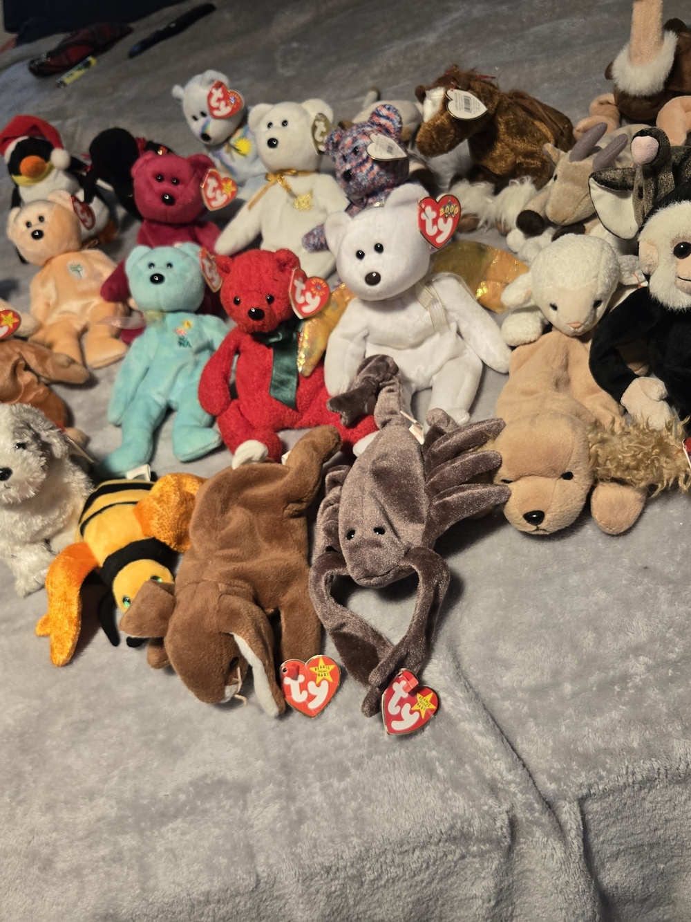 TY Beanie Babies Plush Lot - Multicolor Collectible Bear and Animals